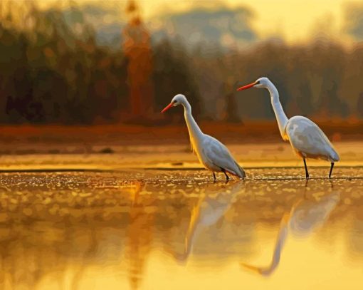 Cute Egrets paint by number
