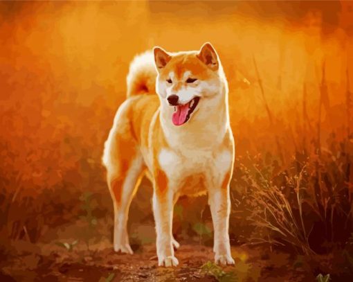 Cute Shiba Inu Dog paint by number