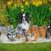 Cute Sheepdogs Puppies paint by number