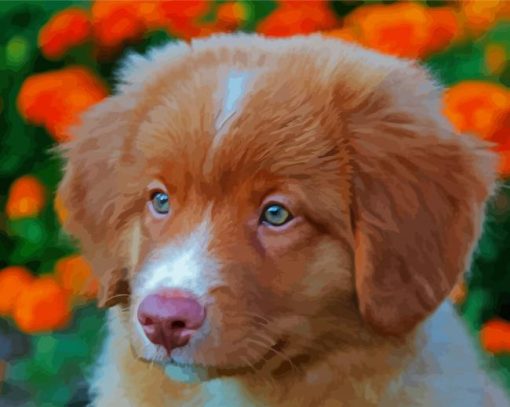 Cute Toller Puppy paint by number