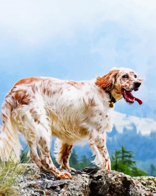 English Setter Dog Breed paint by numbers