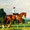 Equestrian Woman paint by numbers