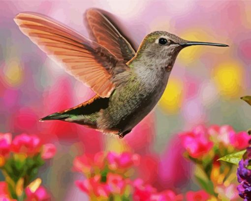 Flying Beautiful Hummingbird paint by numbers