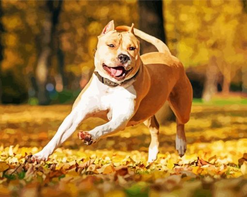 Golden American Staffordshire Terrier Dog paint by numbers