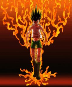 Gon Freecss Art paint by number