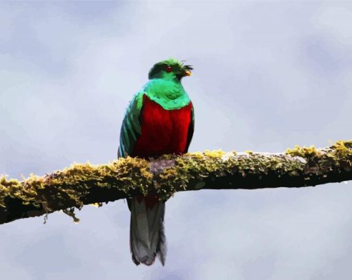Green Quetzal Bird paint by numbers