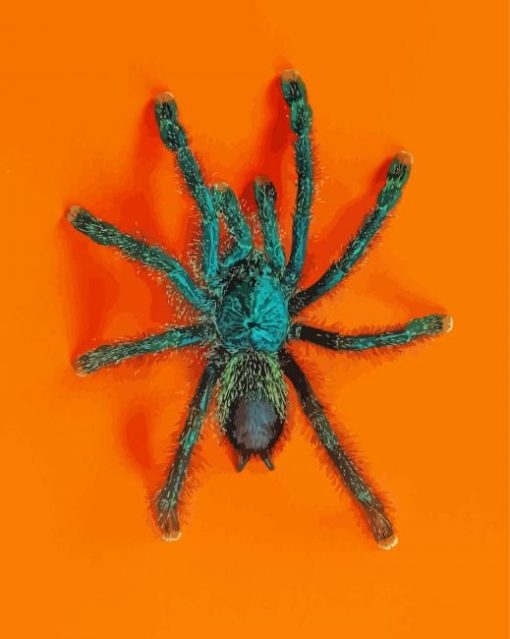 Green Spider paint by numbers