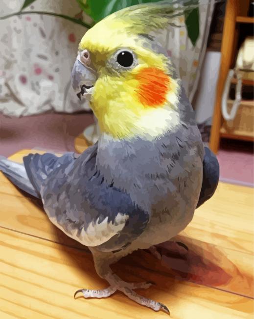 Grey Cockatiel paint by number