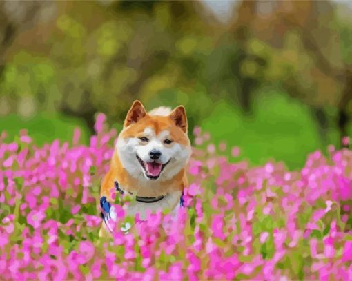 Happy Shiba Inu paint by number