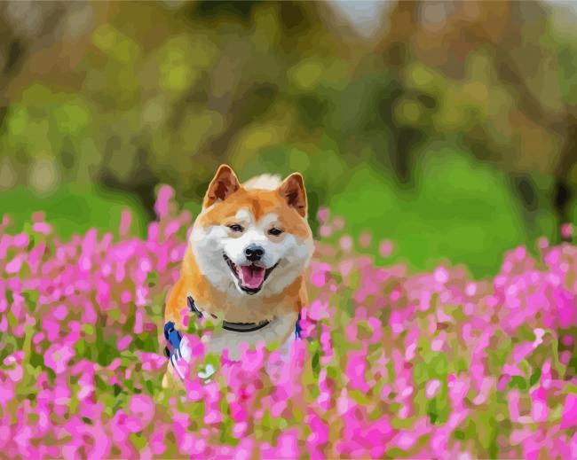 Happy Shiba Inu paint by number