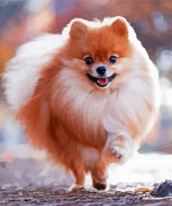 Happy Pomeranian paint by number