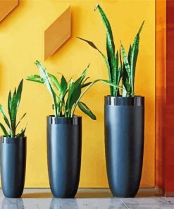 Indoor Plants paint by numbers