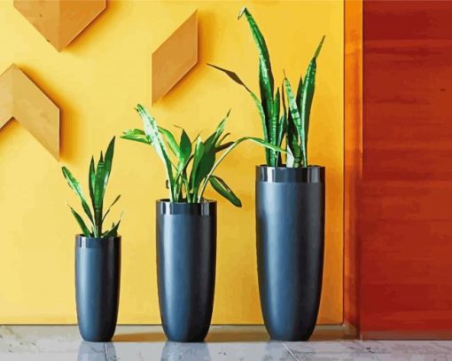 Indoor Plants paint by numbers