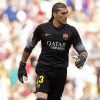 Jose Manuel Pinto Goalkeeper paint by number