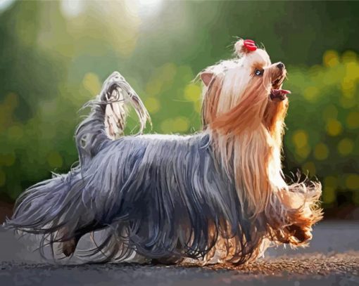 Long Hair Yorkshire Terrier paint by number