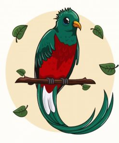 Long Tailed Quetzal Art paint by number