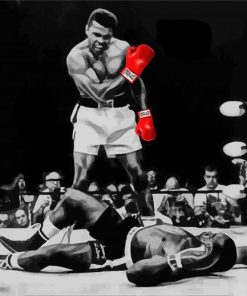 Muhammad Ali paint by number