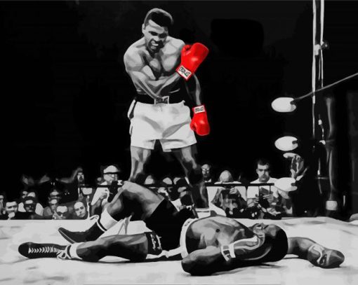Muhammad Ali paint by number