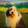 Old English Sheepdog paint by number