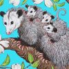 Opossum Family Art paint by number