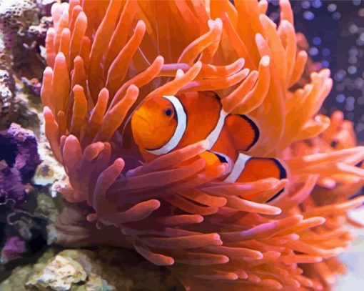 Orange Anemones And Clown Fish paint by numbers