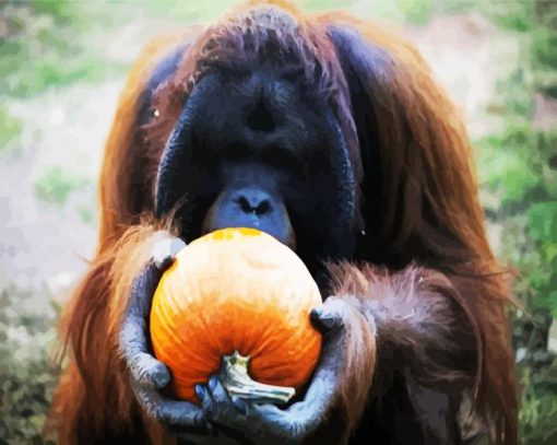 Orangutan Eating Pumpkins paint by number