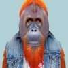 Orangutan Man paint by number