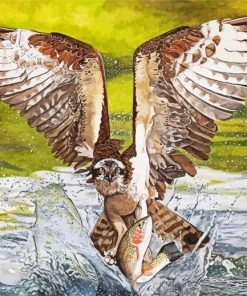 Osprey Bird Hunting paint by number