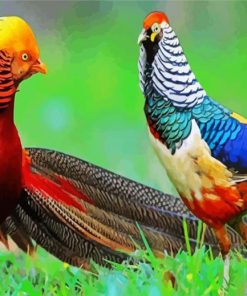 Pheasants paint by number