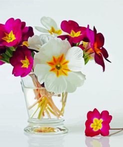 Primrose Floers In Glass paint by numbers