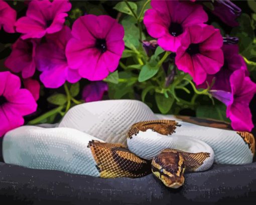 Python Snake And Petunia Flowers paint by number