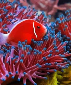 Red Fish Anemones paint by numbers