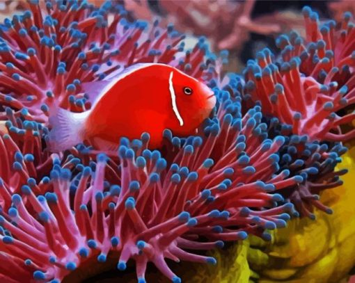 Red Fish Anemones paint by numbers