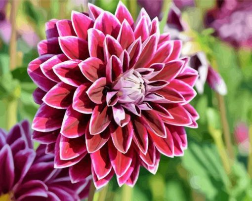 Red Blooming Dahlia Flower paint by numbers