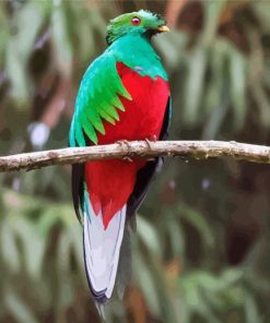 Red Eyes Quetzal paint by number