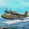 Royal Navy Seaplane paint by number
