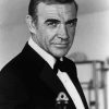 Sean Connery James Bond paint by number