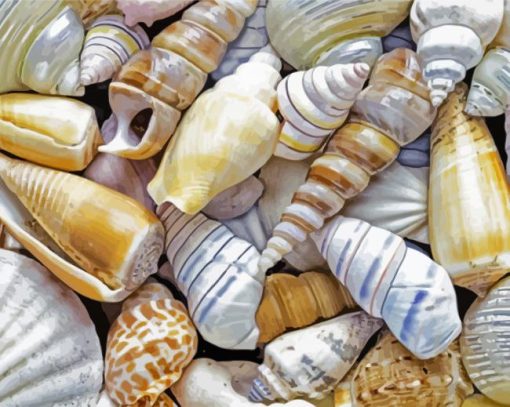 Seashell paint by numbers