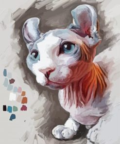 Sphynx Cat Animal paint by number