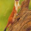Stoat Weasel Animal paint by number