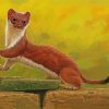 Stoat Weasel paint by number