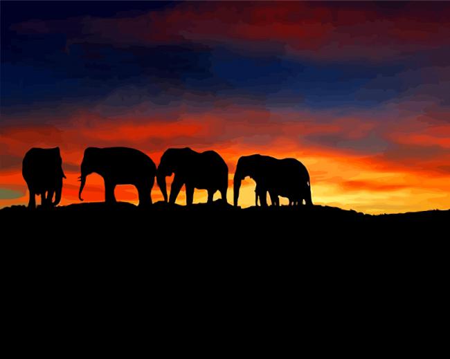 Sunset Elephants paint by numbers