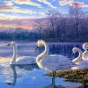 Swans On Lake paint by numbers