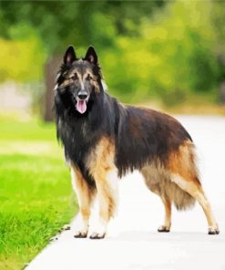 Tervuren Belgian ShepherdTervuren Belgian Shepherd paint by number