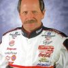 The American Race Driver Dale Earnhardt paint by numbers