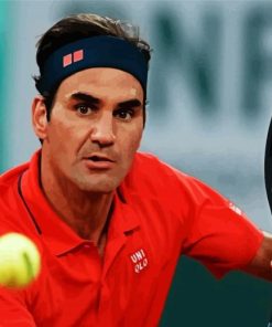 The Tennis Player Roger Federer paint by number
