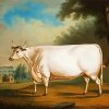 The White Ox paint by number