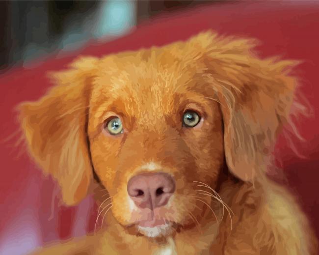 Toller Puppy paint by number