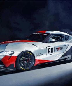 Toyota Gr Supra GT4 Race Car paint by numbers