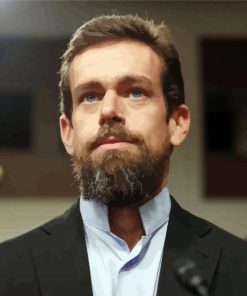 Twitter Co Founder Dorsey paint by number